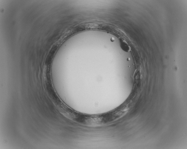 X0000077330217200611171815