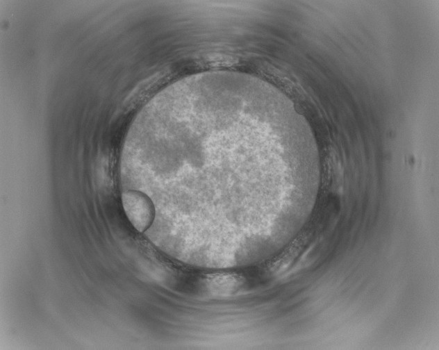 X0000077330218200611171815