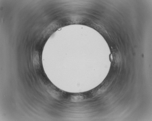 X0000077330220200611171815