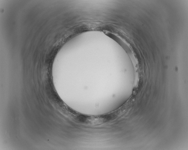 X0000077330221200611171815