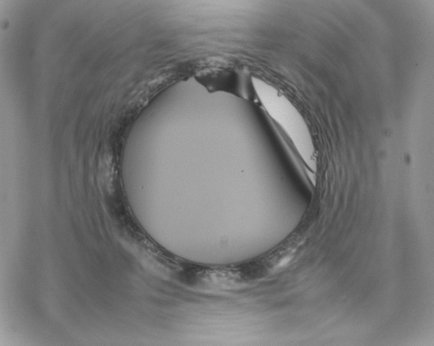 X0000077330223200611171815