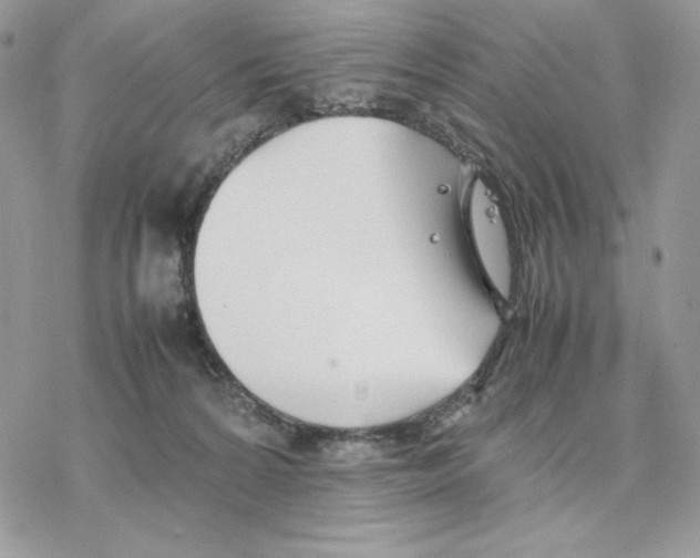 X0000077330224200611171815