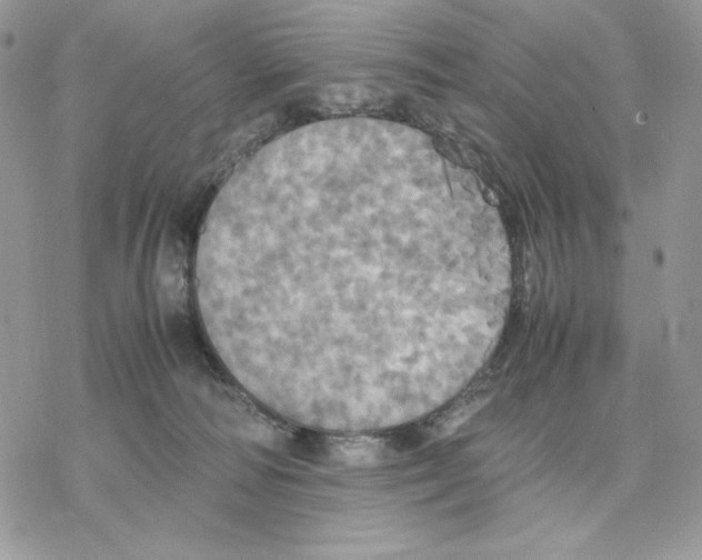 X0000077330226200611171815