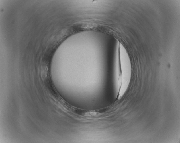 X0000077330227200611171815