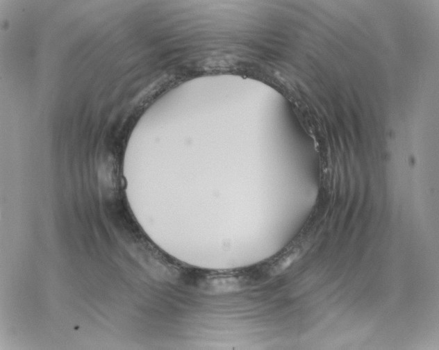 X0000077330228200611171815