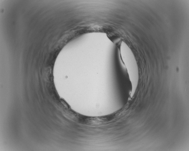 X0000077330229200611171815