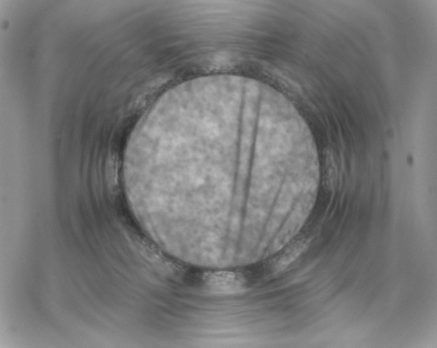 X0000077330230200611171815