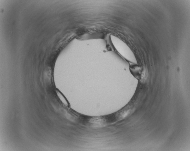 X0000077330231200611171815