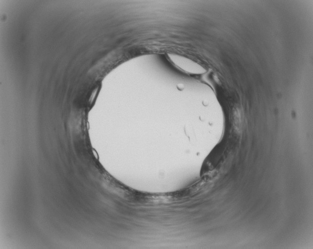 X0000077330233200611171815