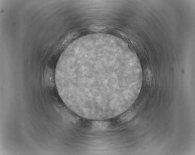 X0000077330234200611171815