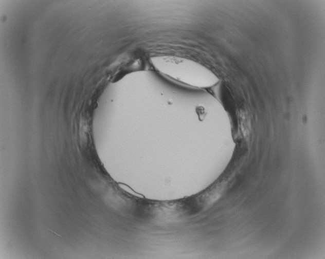 X0000077330235200611171815