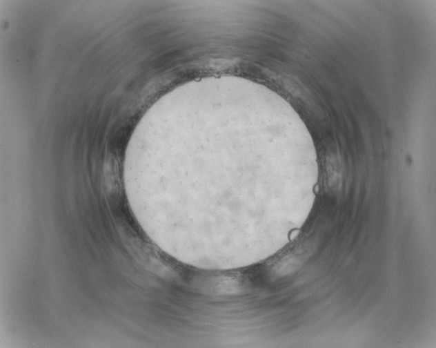 X0000077330236200611171815