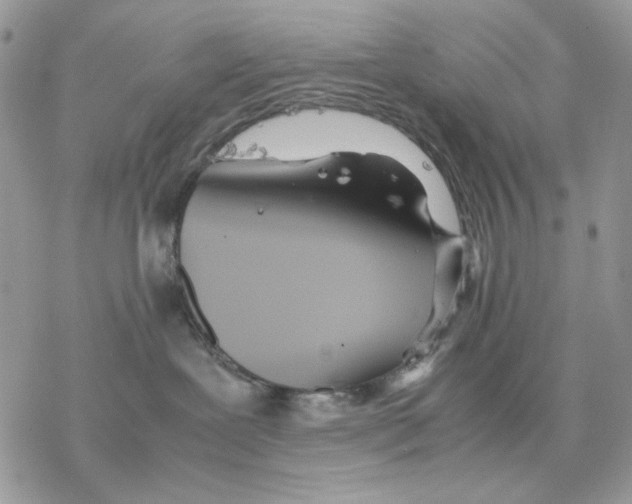 X0000077330239200611171815