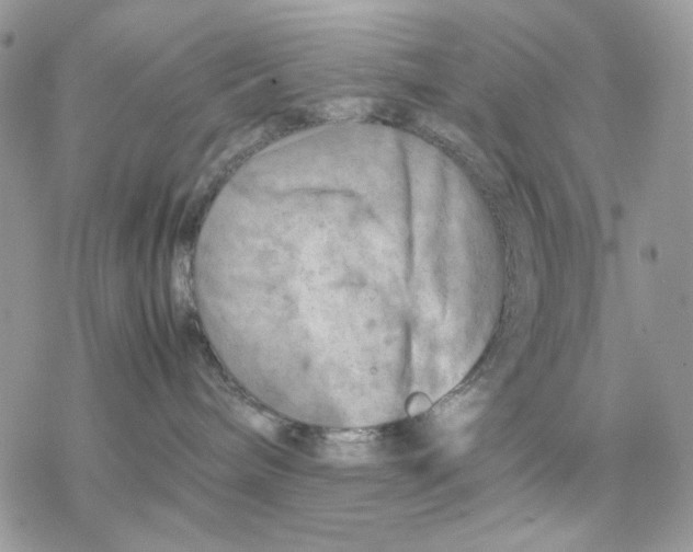 X0000077330240200611171815