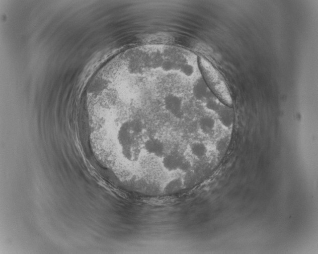 X0000077330241200611171814