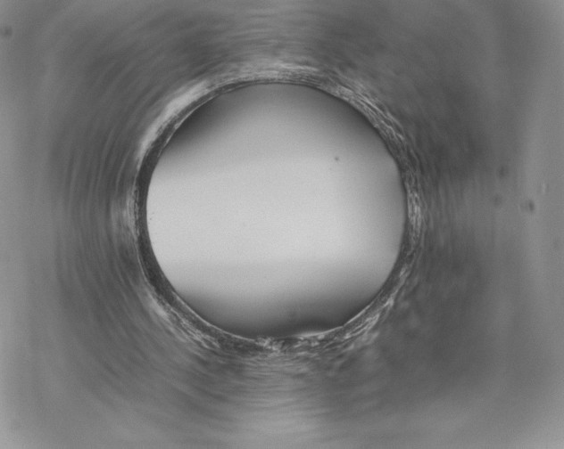 X0000077330244200611171814