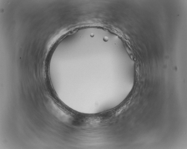 X0000077330248200611171814