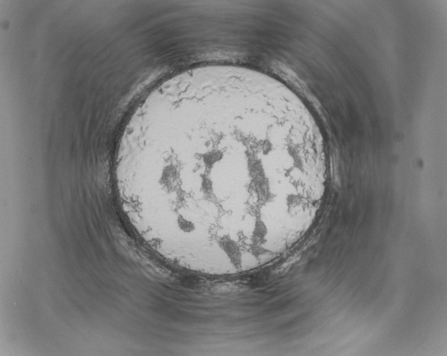 X0000077330249200611171814