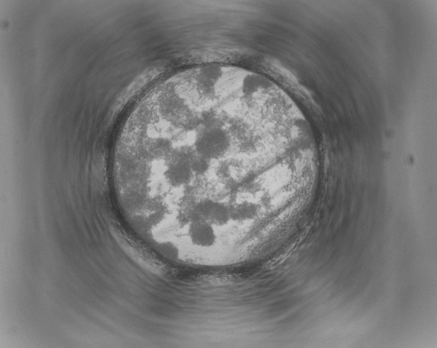 X0000077330250200611171814