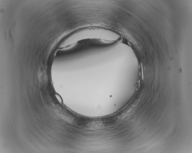 X0000077330252200611171814