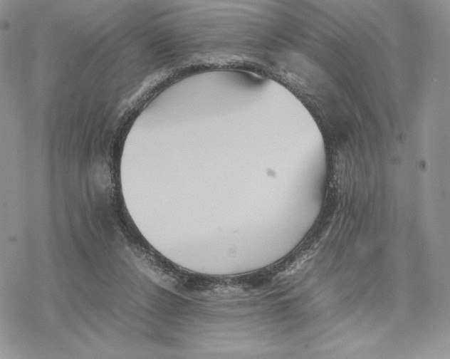 X0000077330256200611171815