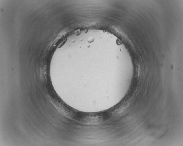 X0000077330260200611171815