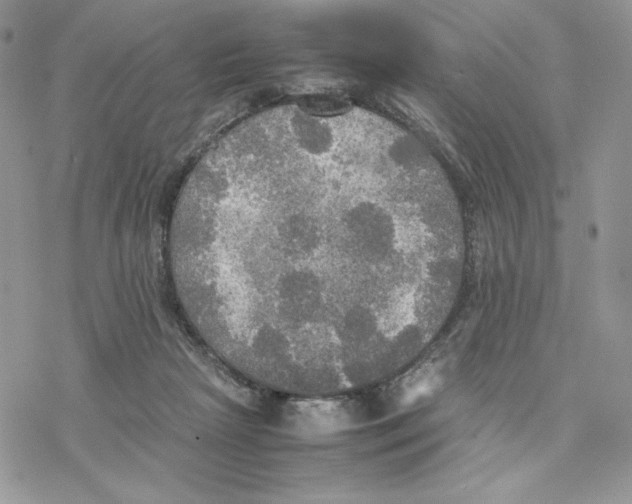 X0000077330265200611171815