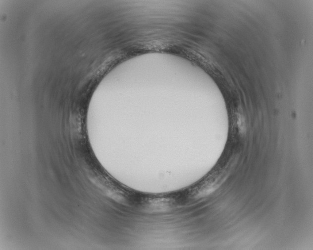 X0000077330268200611171815