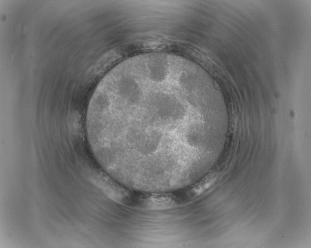 X0000077330270200611171815