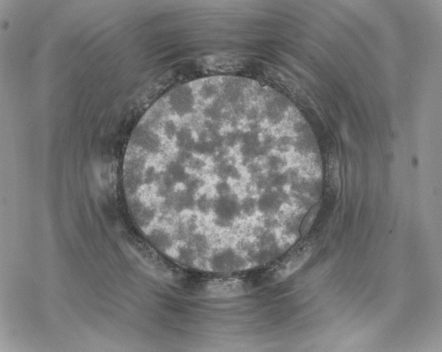 X0000077330271200611171815