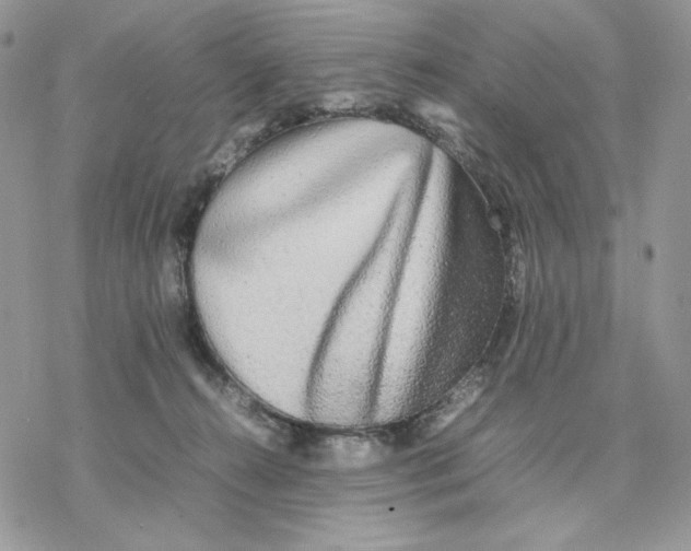 X0000077330272200611171815