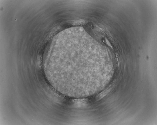 X0000077330273200611171815