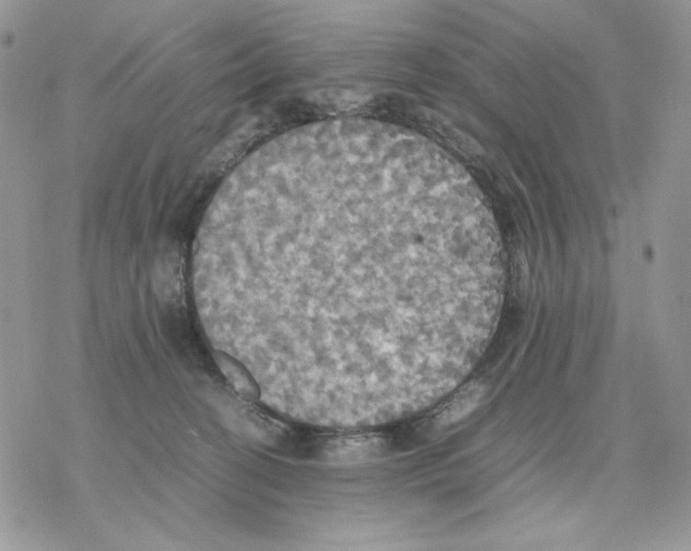 X0000077330274200611171815