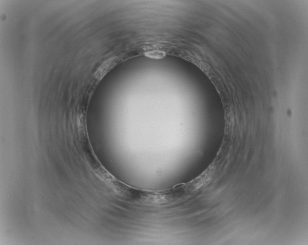 X0000077330276200611171815