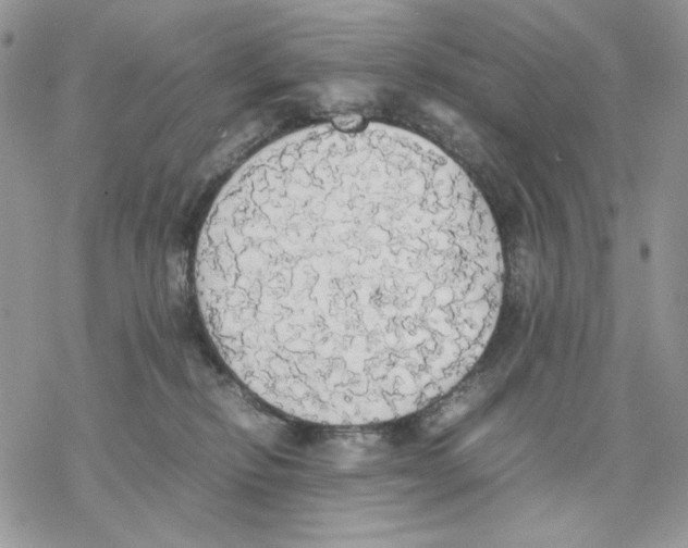 X0000077330278200611171815