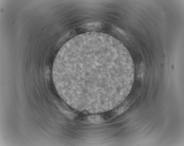 X0000077330279200611171815