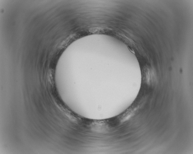 X0000077330280200611171815