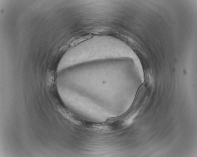 X0000077330284200611171815