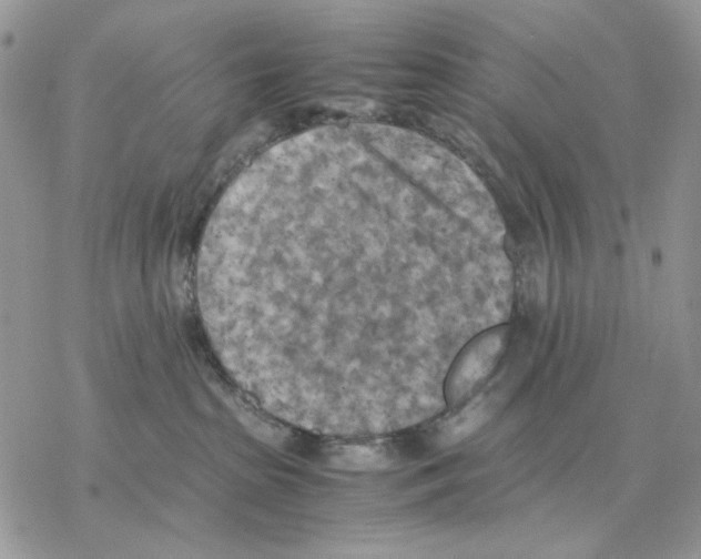 X0000077330285200611171815