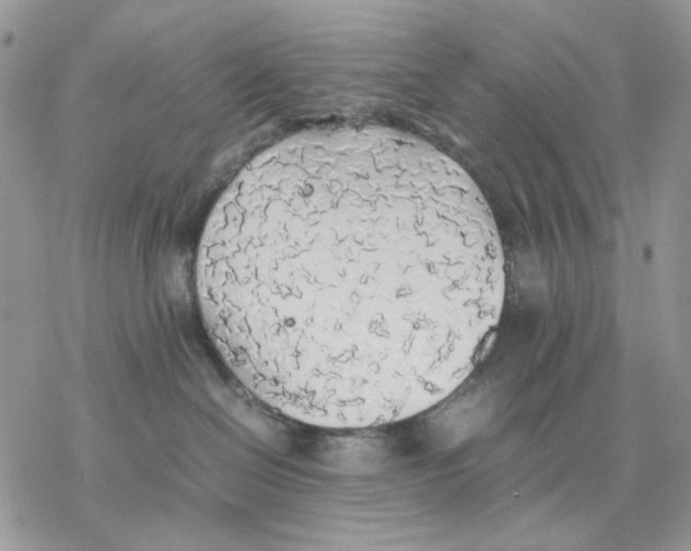 X0000077330286200611171815