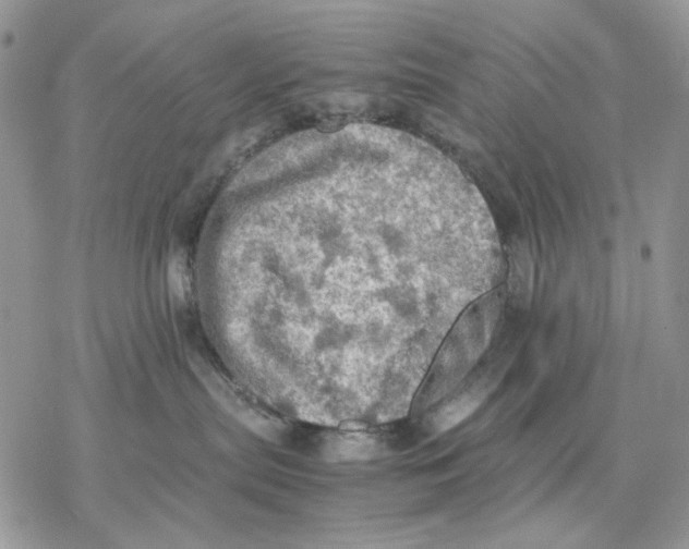 X0000077330287200611171815