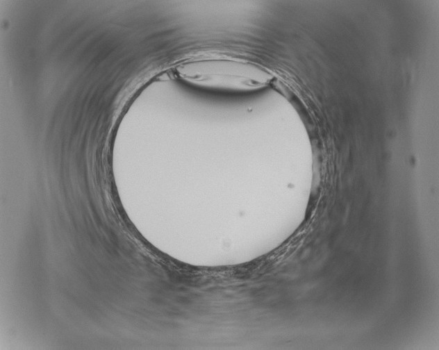 X0000077330289200611171814