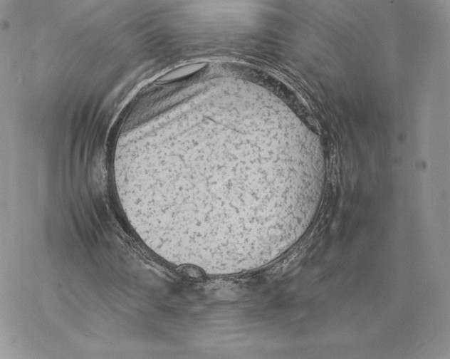 X0000077330290200611171814