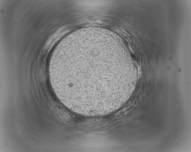 X0000077330291200611171814