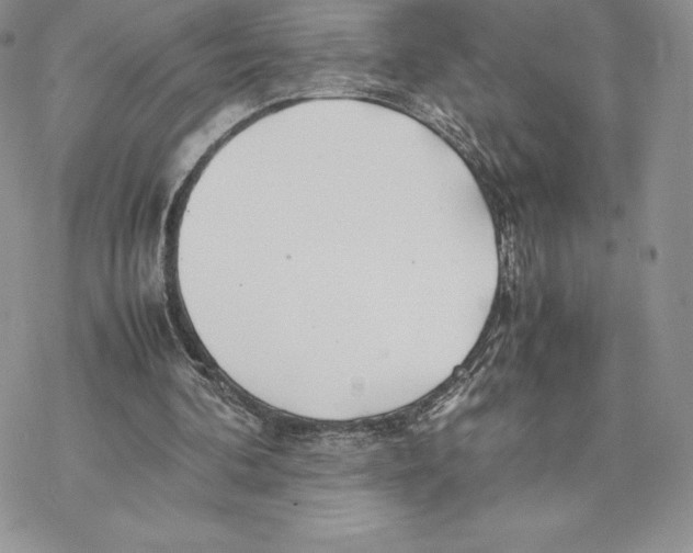 X0000077330292200611171814