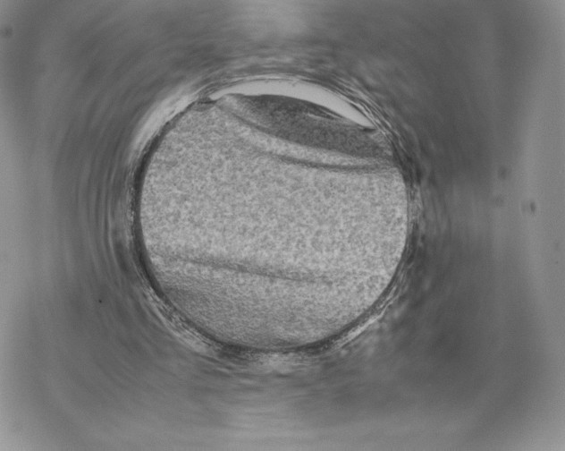 X0000077330293200611171814