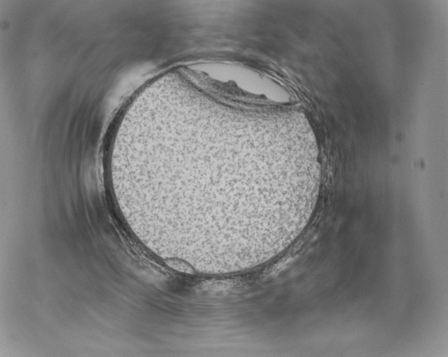 X0000077330294200611171814