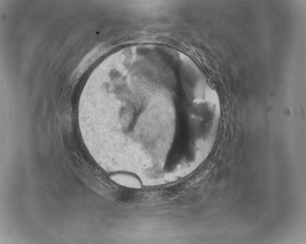 X0000077330295200611171814