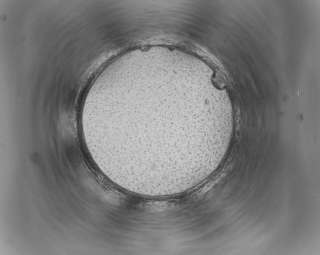 X0000077330298200611171814