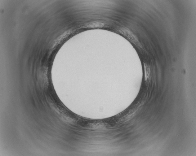 X0000077330300200611171814